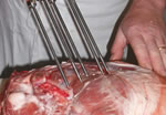 Brine Injector Pump