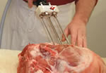 Brine Injector Pump